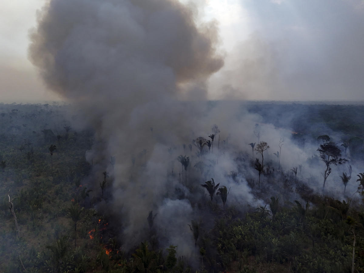 2024 is set to become the hottest year ever