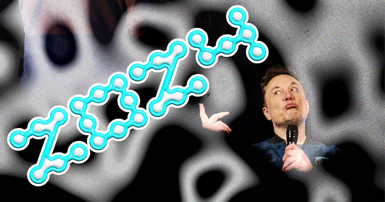 This was the year Elon Musk took over as head of politics