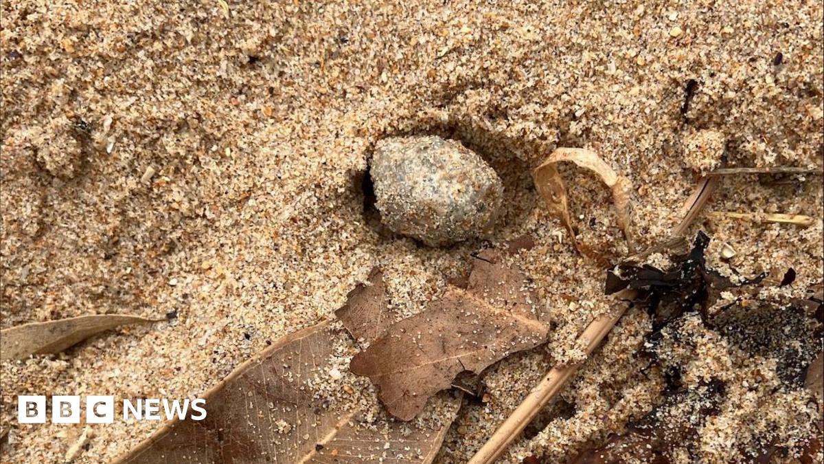 Sydney: Feces and bacteria found in mysterious balls on beaches