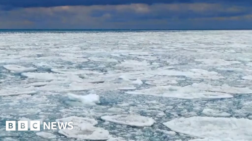 See fascinating ice formations covering parts of Lake Michigan