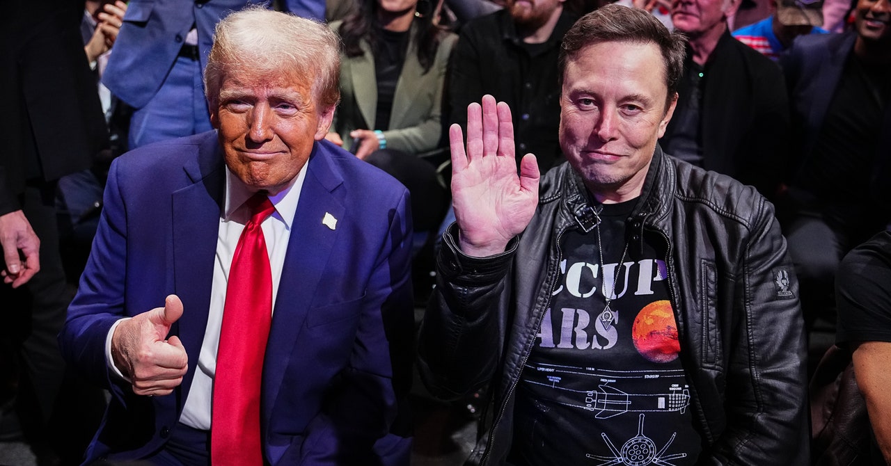 DOGE will allow Elon Musk to monitor the US government from the inside