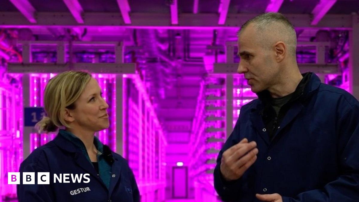 On a futuristic farm in Iceland, we grow algae for food